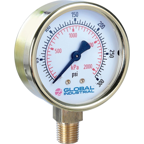 0-15 PSI psi, 1/4 in NPT Bottom Mount Location, Polished Brass Case Material